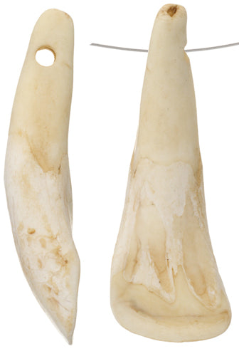 BONE COWS TEETH ANTIQUED Worked on Bone 50PCS