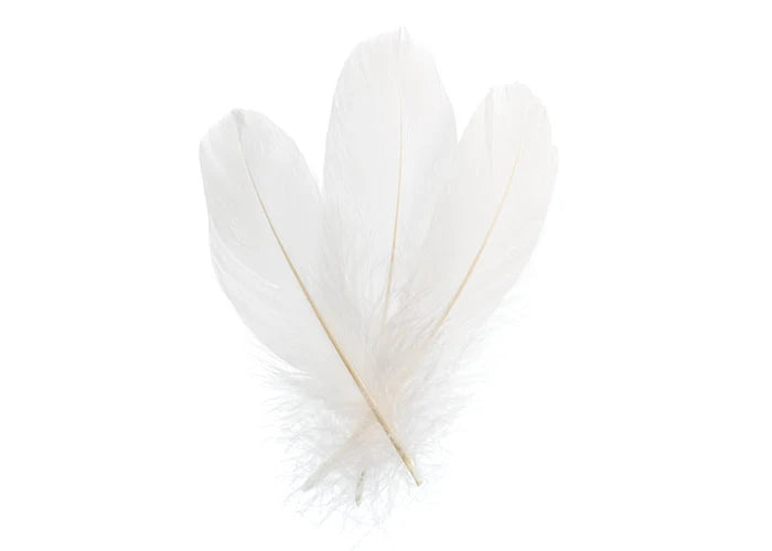 Goose Feathers 5-7in White