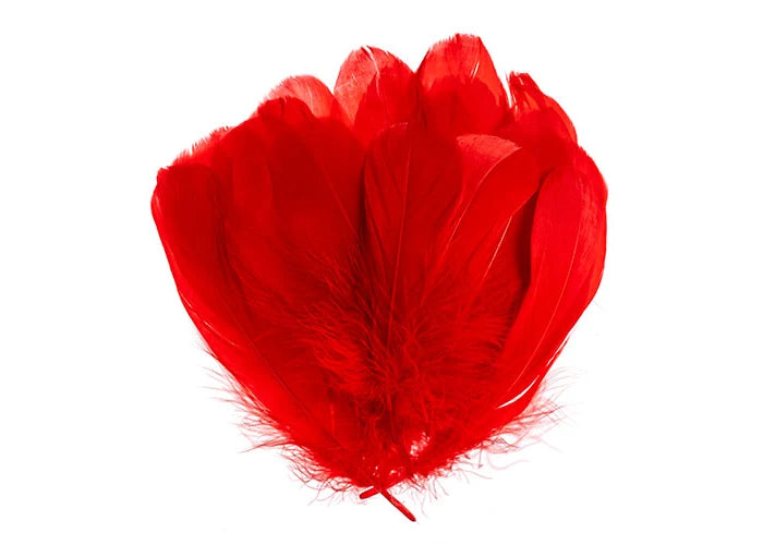 Goose Feathers 5-7in Red
