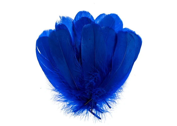 Goose Feathers 5-7in Royal