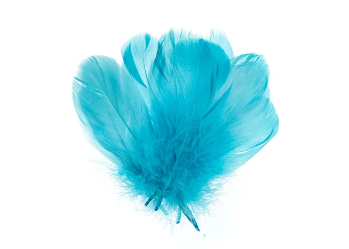 Goose Feathers 5-7in Turquoise