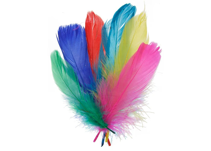 Goose Feathers 5-7in Multi Mix