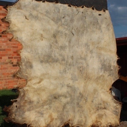 Bleached Buffalo Rawhide