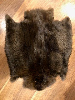 Tanned Beaver Pelts Medium