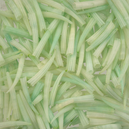 Dentalium Shell Ridged 100pcs/apx.30g 0.5in to 1in Green Not Water Resistant