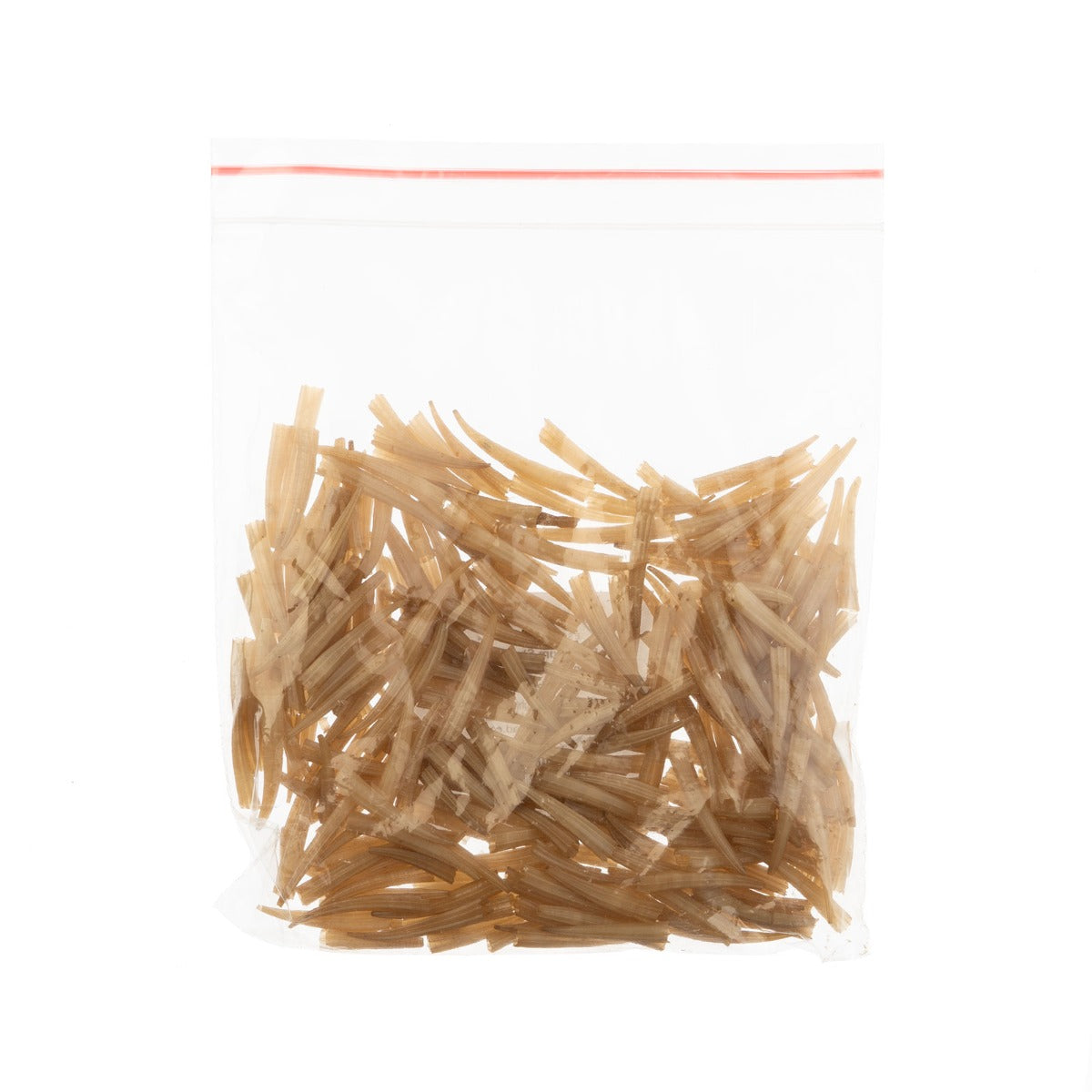 Dentalium Shell Ridged 100pcs/apx.30g 0.5in to 1in Light Brown Not Water Resistant