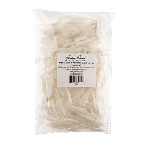 Dentalium Shell Mix 0.5in to 1in Natural 50g