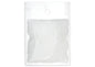 Miyuki Delica 11/0 Crystal White Ceylon