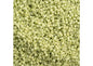 Miyuki Delica 11/0 Duracoat Opaque Dyed Green Fennel