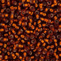 Miyuki Seed Bead 11/0 apx.22g Dark Topaz Silver