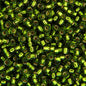 Miyuki Seed Bead 11/0 apx.22g Olive Silver Lined