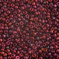 Miyuki Seed Bead 11/0 apx.22g Burgundy Gold Luster