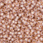 Miyuki Seed Bead 11/0 apx.22g Blush S/L Dyed