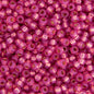 Miyuki Seed Bead 11/0 apx.22g Dark Rose S/L Dyed