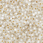 Miyuki Seed Bead 11/0 apx.22g Cry. Silver Lined