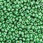 Miyuki Seed Bead 11/0 apx.22g GalvanizDuracoat Dark Mint Green