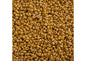 Miyuki Seed Bead 11/0 apx 22g Frosted Glazed/ Rainbow Yellow Mustard Matte AB