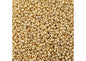 Miyuki Seed Bead 11/0 Duracoat Galvanized Bright Gold