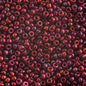 Miyuki Seed Bead 15/0 apx.22g Burgundy Gold Luster