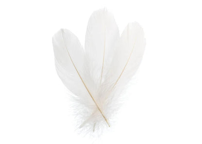 Goose Feathers 5-7in White