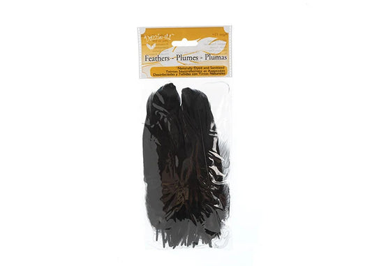 Goose Feathers 5-7in Black