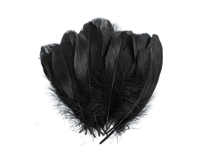 Goose Feathers 5-7in Black