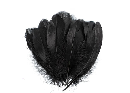 Goose Feathers 5-7in Black