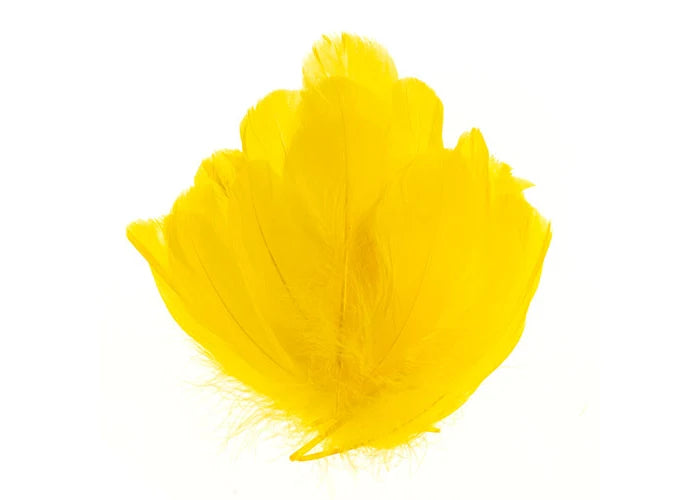 Goose Feathers 5-7in Yellow