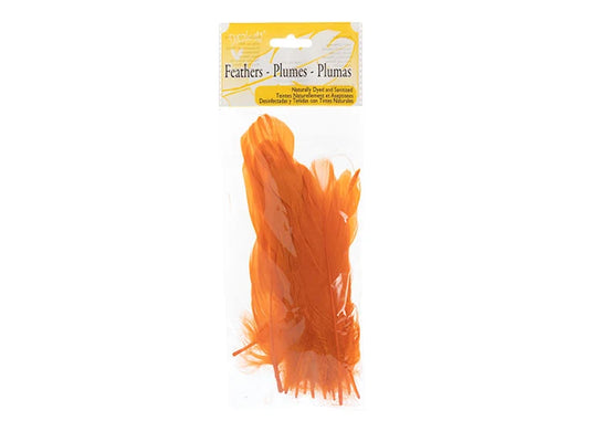 Goose Feathers 5-7in Orange