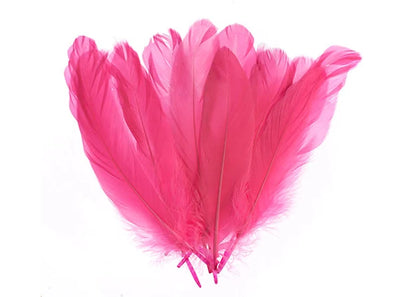 Goose Feathers 5-7in Pink