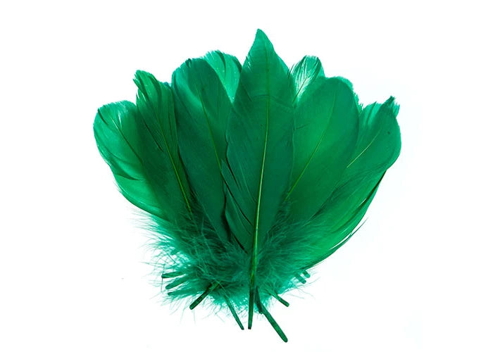 Goose Feathers 5-7in Green