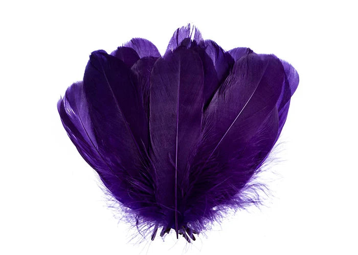 Goose Feathers 5-7in Purple