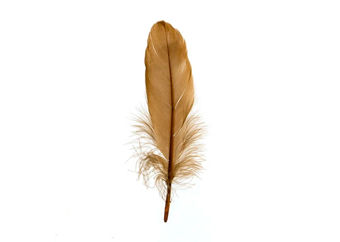 Goose Feathers 5-7in Brown
