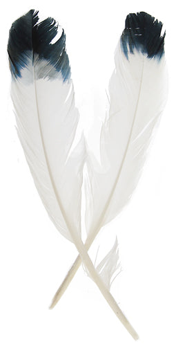 Imitation Eagle Feather 12in Wht/Blk 6 PCS