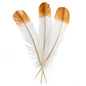 Imitation Eagle Feather 12in Wht/Brn 3 PCS
