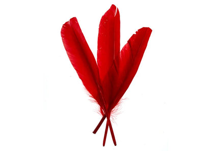 Duck Quill 7in Red 12PCS