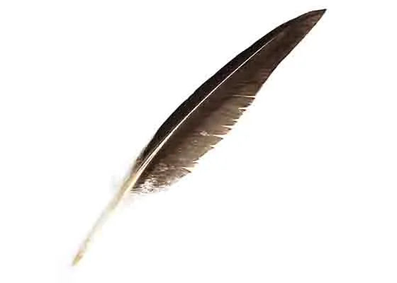 GOOSE FEATHER 7IN NATURAL BULK