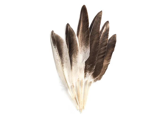 GOOSE FEATHER 7IN NATURAL BULK