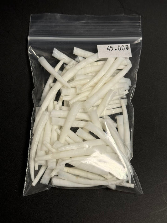 Dentalium Shells 50g