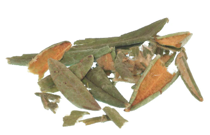 Labrador Tea - Tea Bag