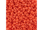 Czech Seedbead apx22g Vial 8/0 Terra Intensive Orange
