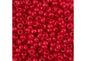 Czech Seedbead apx22g Vial 8/0 Terra Intensive Red
