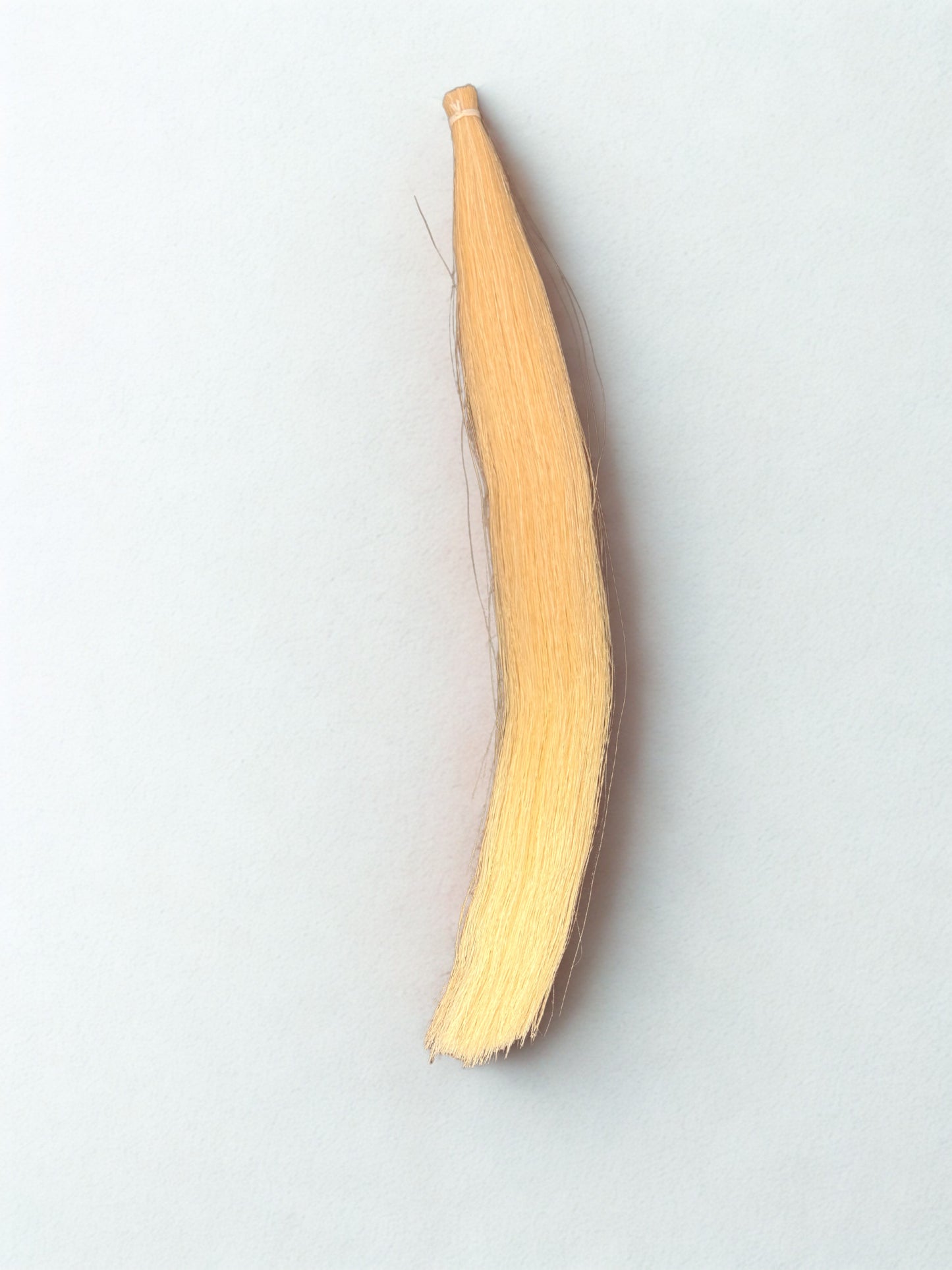 Horse Hair 1 OZ 12-13"
