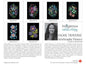 Anishinaabe Flowers 12 Greeting Cards