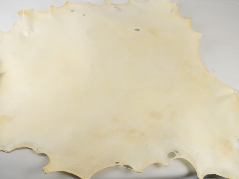 Bleached Elk Rawhide