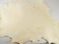 Bleached Elk Rawhide