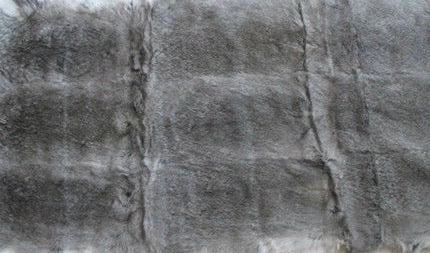 Chinchilla Rabbit Plate